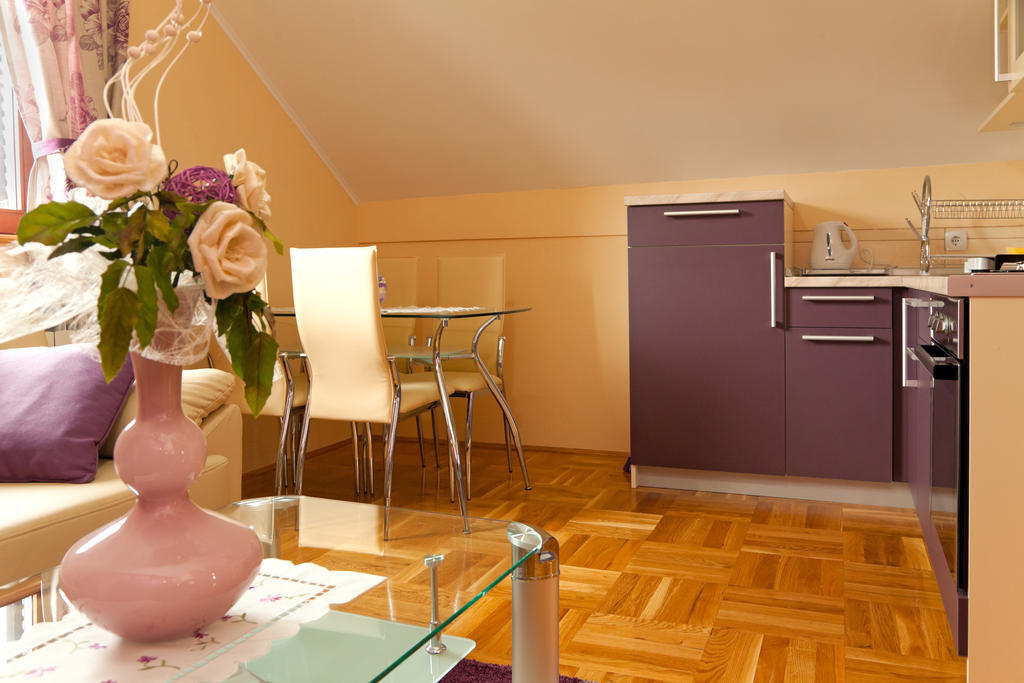 Apartments Tratincica Seliste Dreznicko Room photo