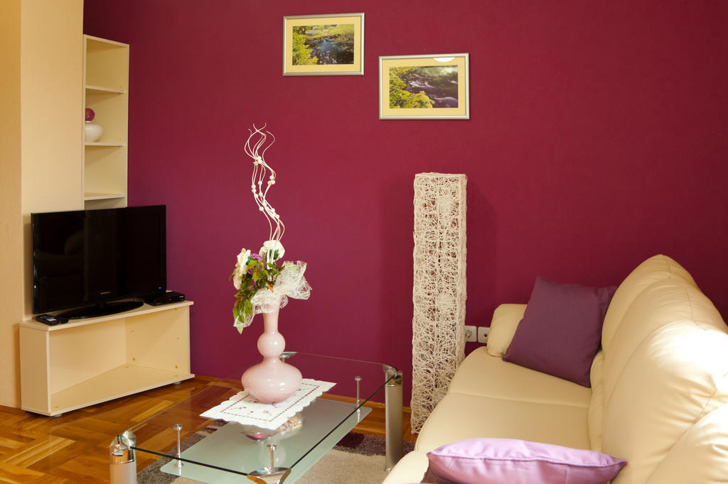 Apartments Tratincica Seliste Dreznicko Room photo