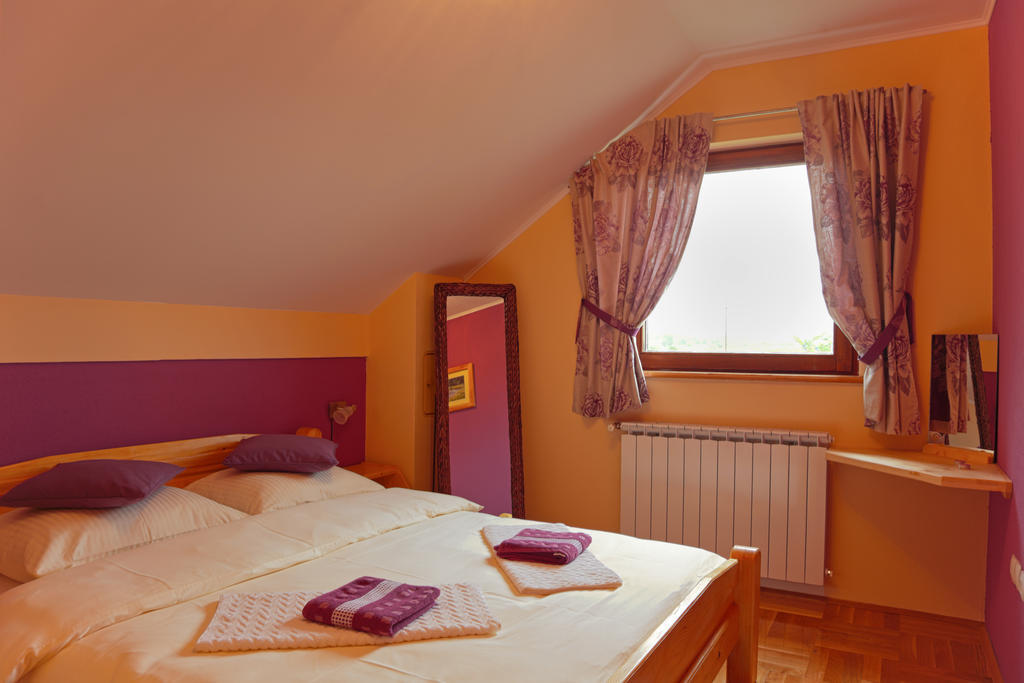 Apartments Tratincica Seliste Dreznicko Room photo