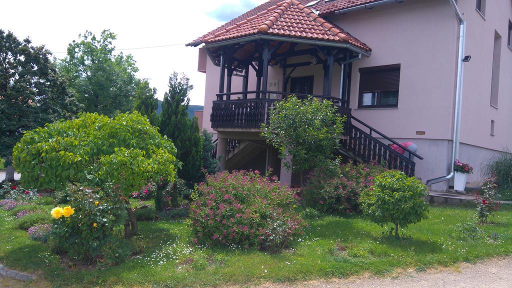 Apartments Tratincica Seliste Dreznicko Exterior photo