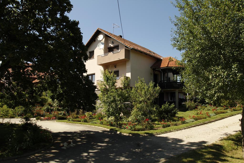 Apartments Tratincica Seliste Dreznicko Exterior photo